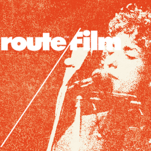 Bob Dylan Concert Video